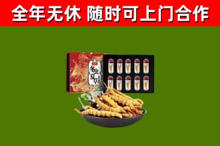 新郑烟酒回收冬虫夏草礼盒.jpg